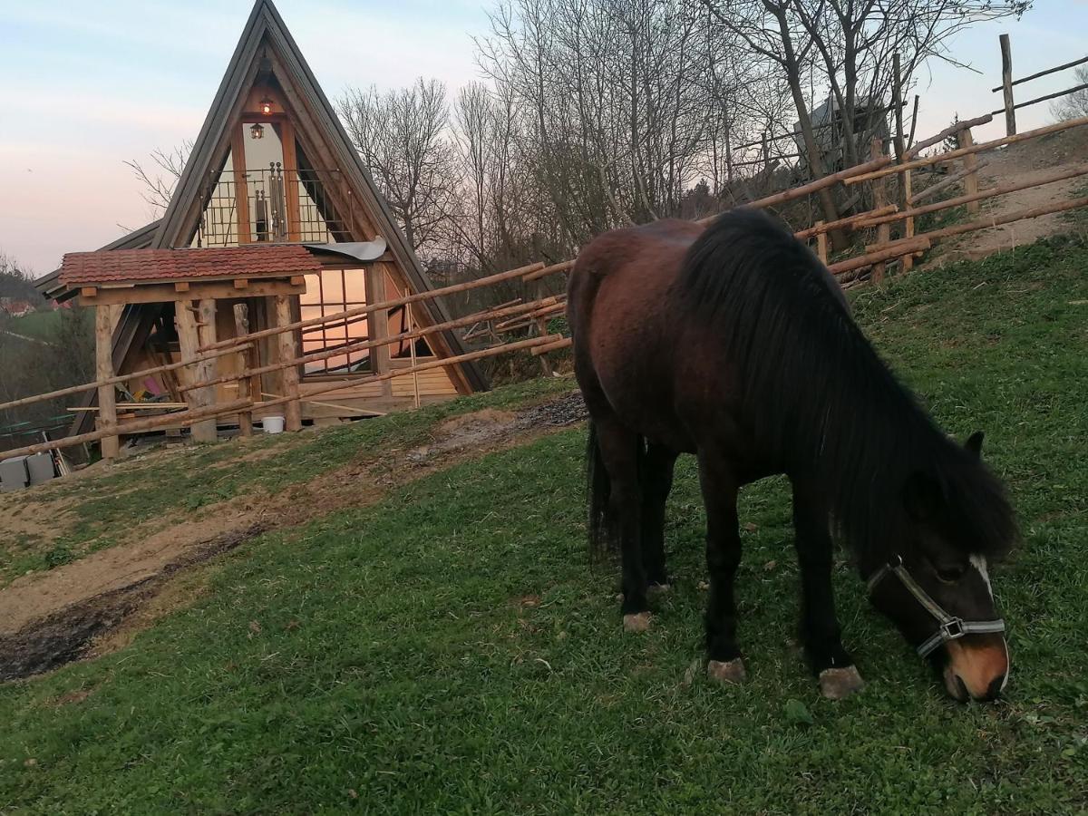 Гостьовий будинок Ranch At Geta Razgorce Екстер'єр фото