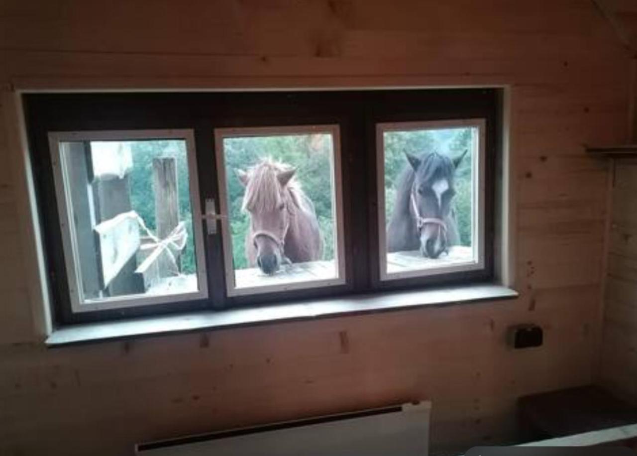 Гостьовий будинок Ranch At Geta Razgorce Екстер'єр фото